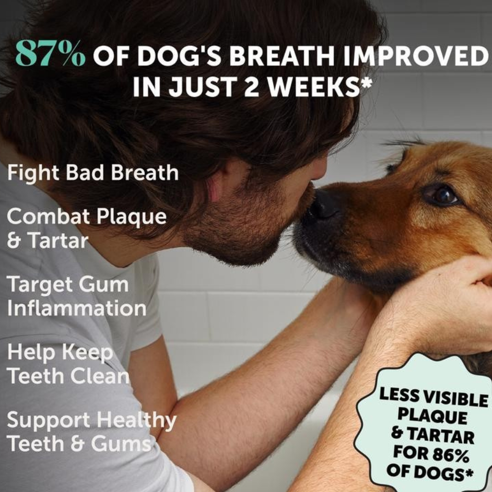 Pet Dental Powder