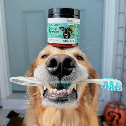 Pet Dental Powder